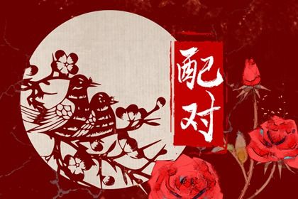 命宫在合婚里的位置