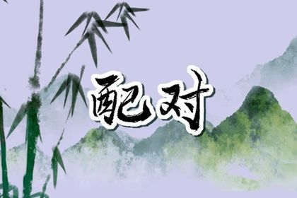 分数低的相处建议